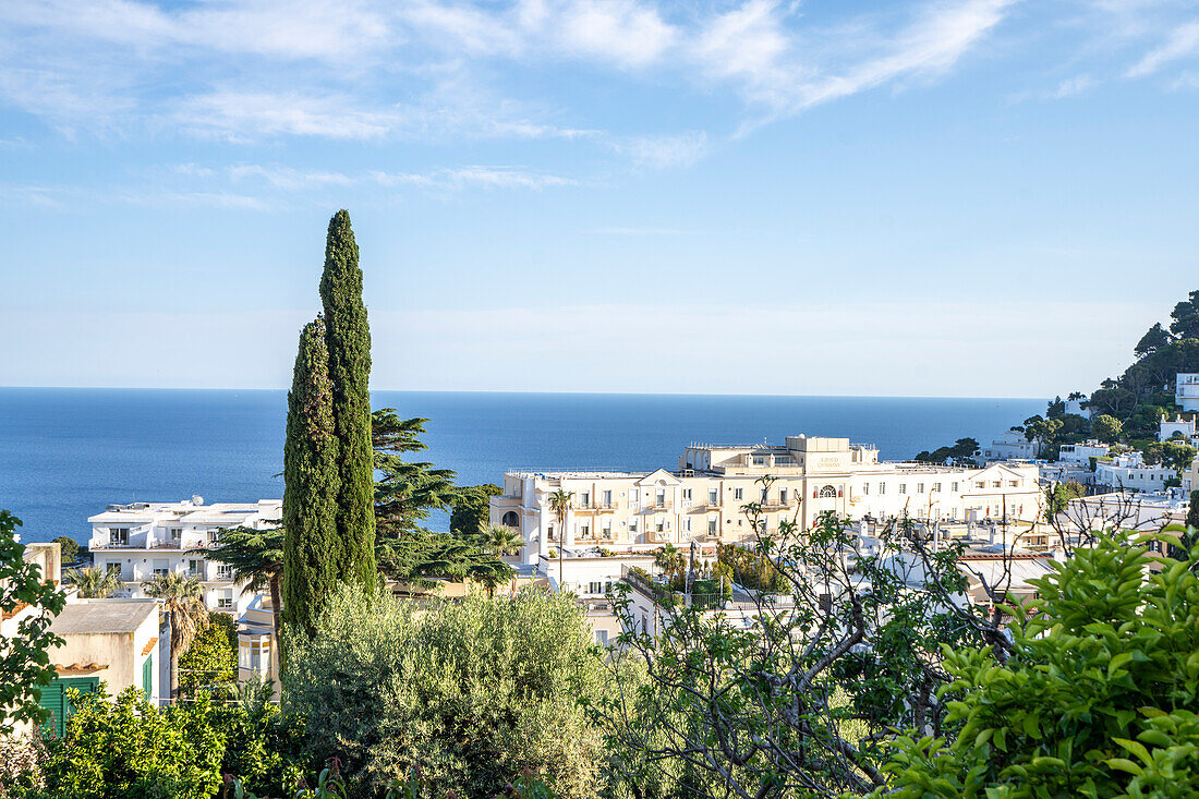 Blick durch die Bäume auf einer Klippe mit Blick auf das Grand Hotel Quisisana und die weiß getünchten Dächer in Capri-Stadt; Neapel, Capri, Italien