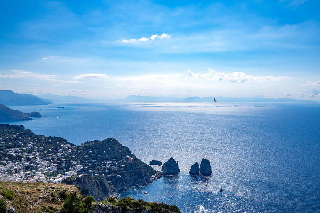 Blick auf die Faraglioni-Bucht und die Felsformationen vom Monte Solaro auf der Insel Capri mit einem überfliegenden Seevogel; Neapel, Capri, Italien
