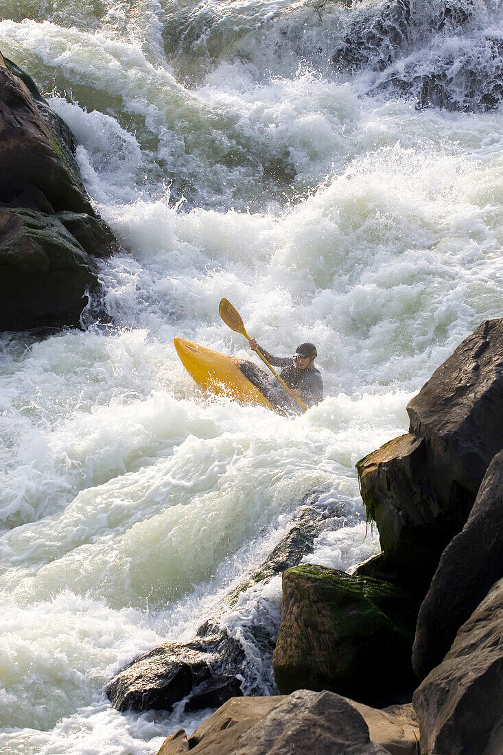 White water kayaker paddles through big rapids.; Potomac River, Maryland and Virginia.