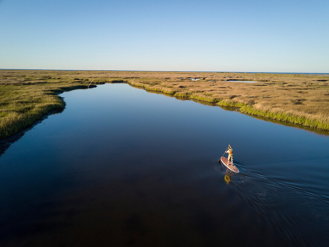 Ein Stand Up Paddle Boarder fährt durch die Salzwiesen des Plumtree National Wildlife Reserve; Poquoson, Virginia, Virginia, USA