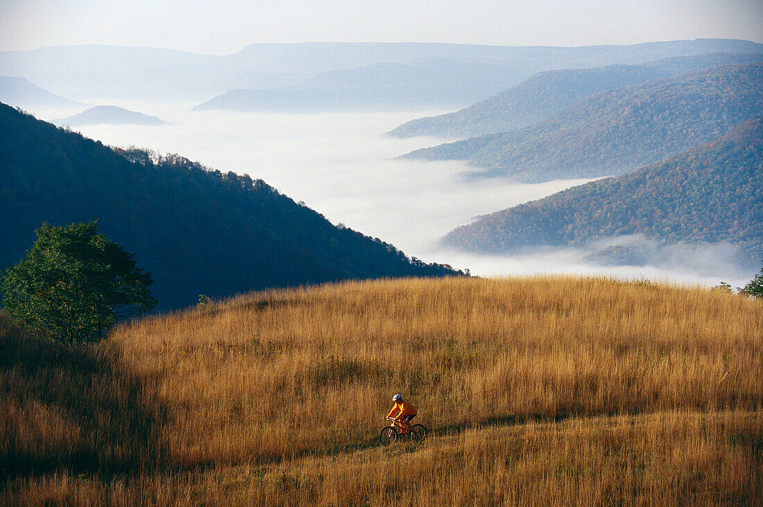 Ein Radfahrer fährt auf einer Wiese über einem nebelumhüllten Tal; Pocahantas County, West Virginia.
