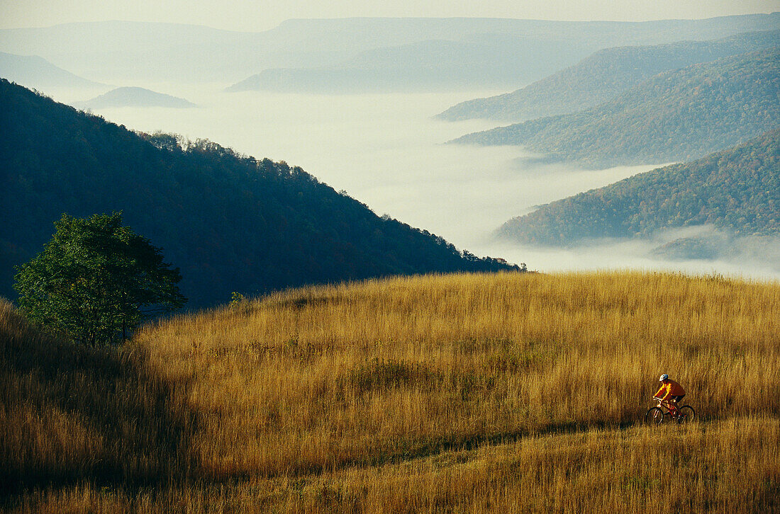 Mountain biking through fields above fog-shrouded Elk River valley.; Pocahontas County, West Virginia.