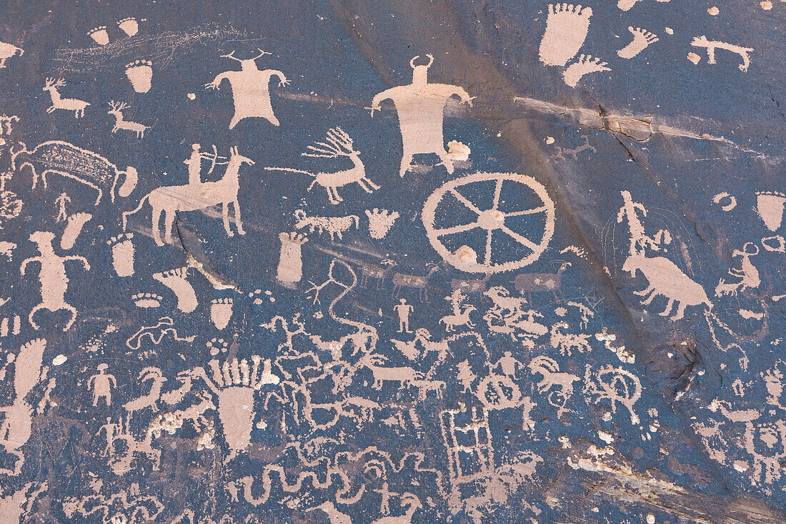 Einige der Petroglyphen im Newspaper Rock State Historic Monument im Canyonlands National Park. Unbekannt, wann oder warum die Zeichnungen entstanden sind; La Sal, Utah, Vereinigte Staaten von Amerika