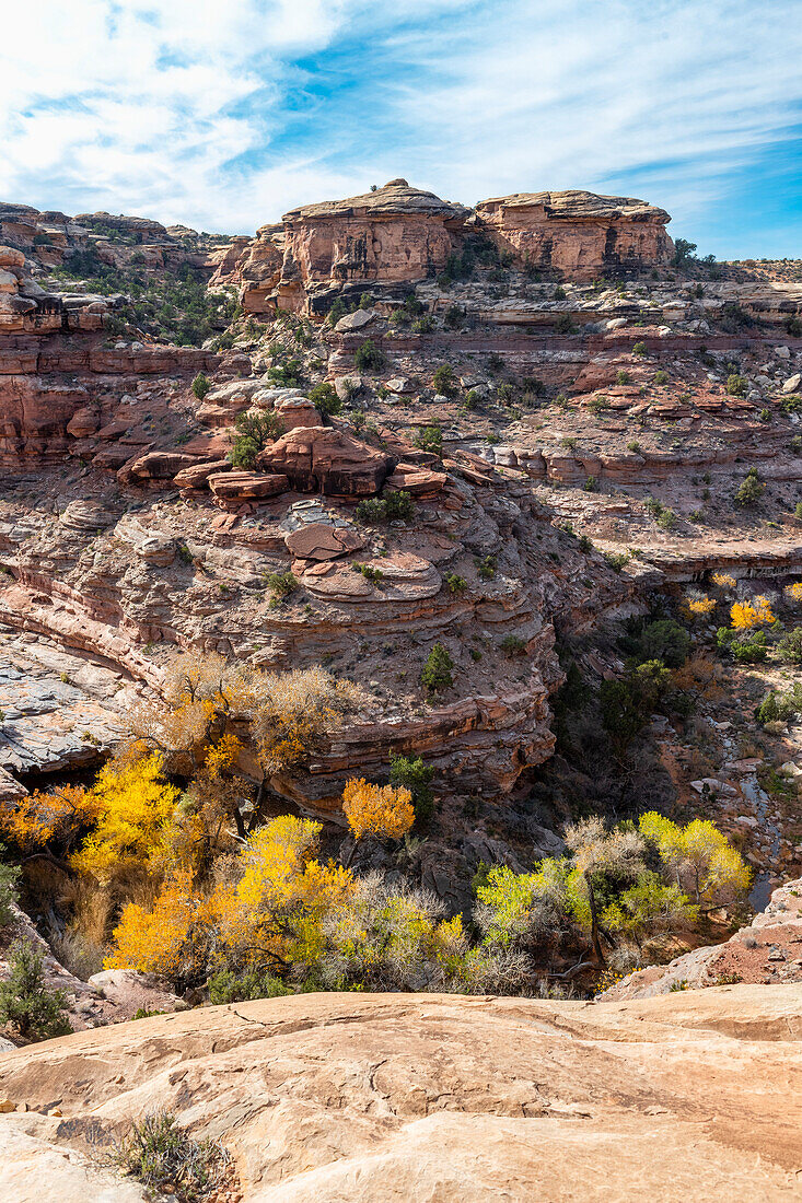Ein Blick in den Big Spring Canyon mit wunderbarer Geologie im Canyonlands National Park; Blanding, Utah, Vereinigte Staaten von Amerika