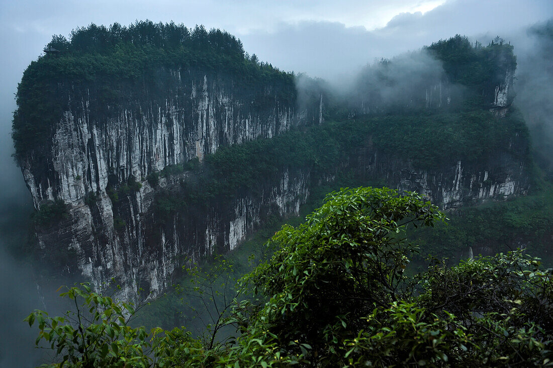 Nachdem der Regen vorbei ist und die Wolken vom Grund der Schluchten in Sanqiao oder den Drei Natürlichen Brücken aufsteigen, enthüllen sich große Kalksteinfelsen; Wulong, Provinz Chongqing, China.