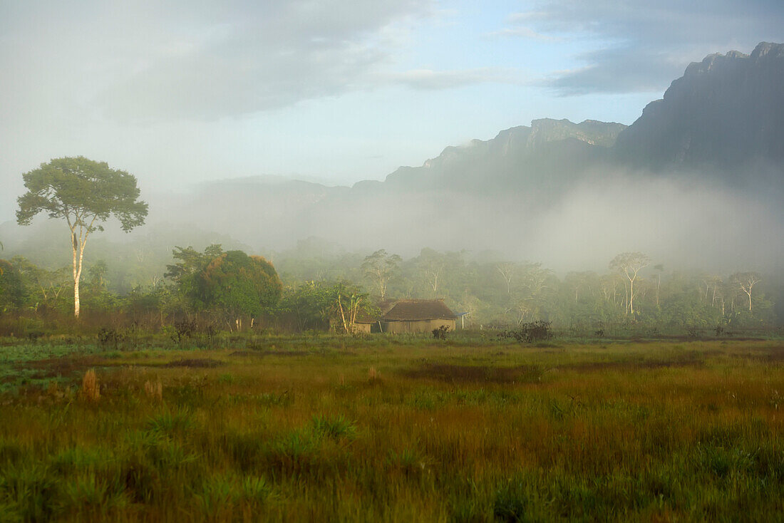 In den frühen Morgenstunden steigt Nebel vom feuchten Boden am Fuß des Sarisarinama Tepui auf; Gran Sabana, Venezuela.