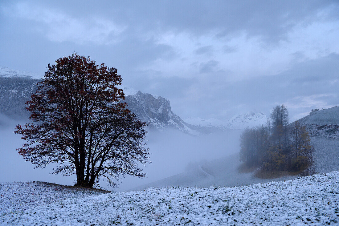 Conturines-Spitze in den italienischen Dolomiten; Cortina d'Ampezzo, Dolomiten, Italien.