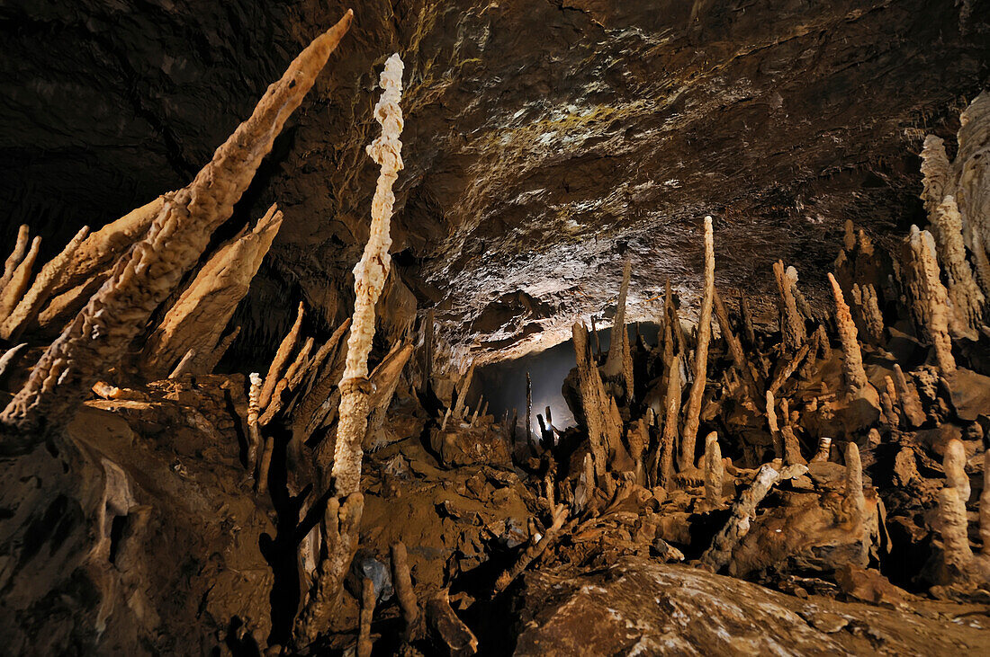 Large leaning stalagmites inside the Drunken Forest Cave.; Gunung Mulu National Park, Sarawak, Borneo, Malaysia.