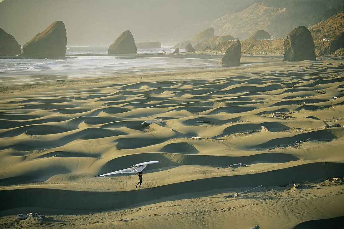 A windsurfer carries his board and sail over the sand dunes.; Oregon.