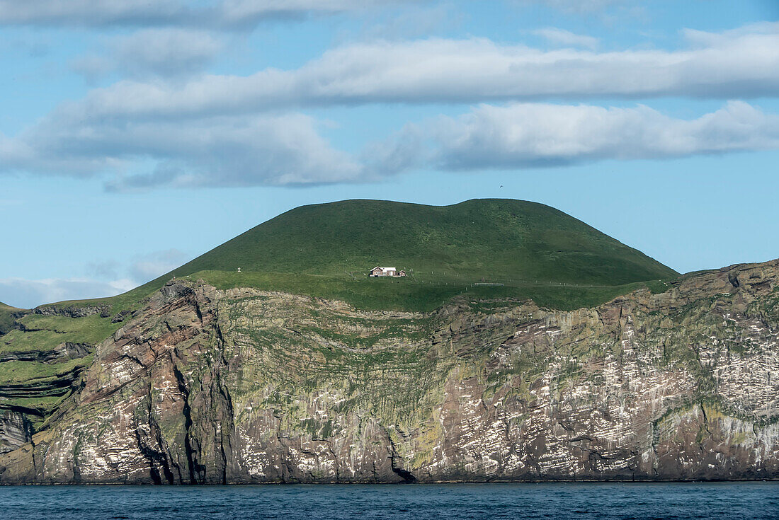 Haus am grasbewachsenen Berghang von Surtsey, einer vulkanischen Insel im Vestmannaeyjar-Archipel vor der Südküste Islands. Sie entstand 1963 bei einem Vulkanausbruch; Surtsey, Island