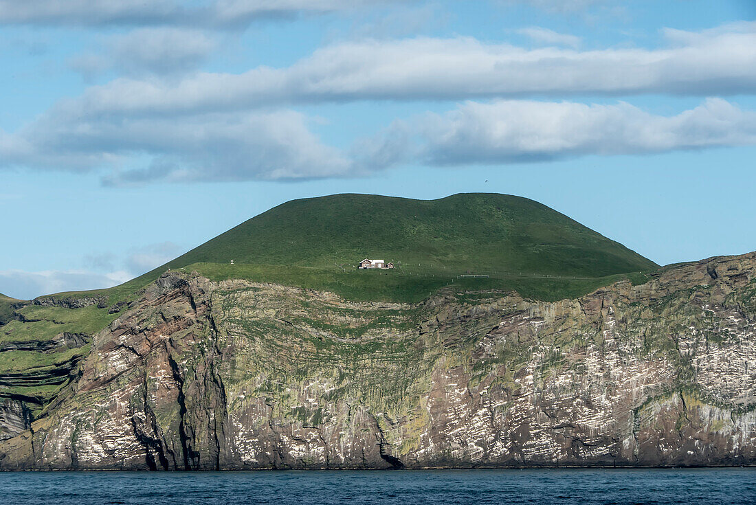 House on the grass covered mountainside of Surtsey, a volcanic island located in the Vestmannaeyjar Archipelago off the southern coast of Iceland. It was formed in a 1963 volcanic eruption; Surtsey, Iceland