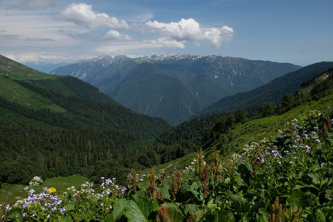 Stunning mountain views and lush countryside high in the Caucasus Mountains after a three hour climb to the base camp of the adventure exploration expedition close to the cave entrance of Veryovkina; Gagra, Caucasus Mountains, Abkhazia
