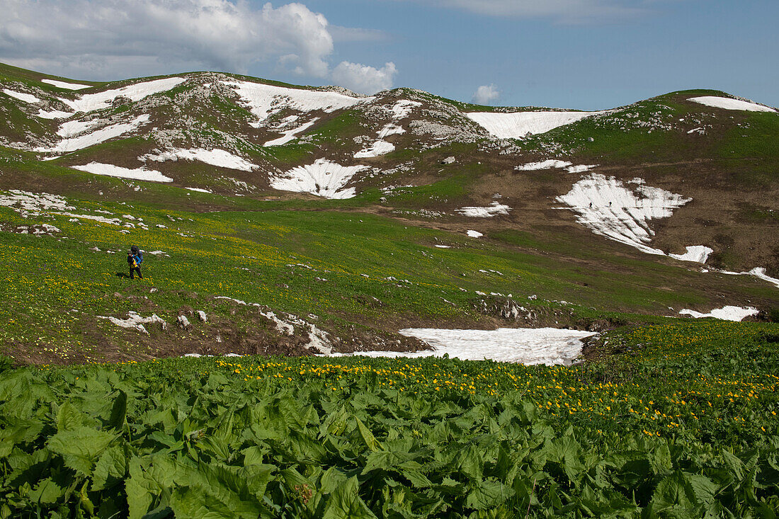 Adventure exploration expedition as one of the team of explorers hikes up a grassy mountainside carrying equipment on the way to a base camp close to the cave entrance of Veryovkina, high in the Caucasus Mountains; Gagra, Caucasus Mountains, Abkhazia