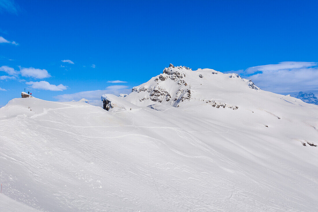 Skifahrer auf dem Gipfel des Passo Fedaia Marmolada mit Blick auf die weiße, verschneite Piste des Alto Agordino im Bezirk Belluno in der Region Venetien in den Dolomiten; Dolomiten, Italien
