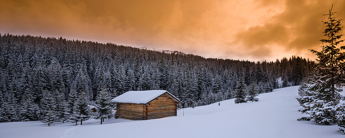 Bauernhütte und Wald im Winter, Dolomiten; Alta Badia, Südtirol, Italien