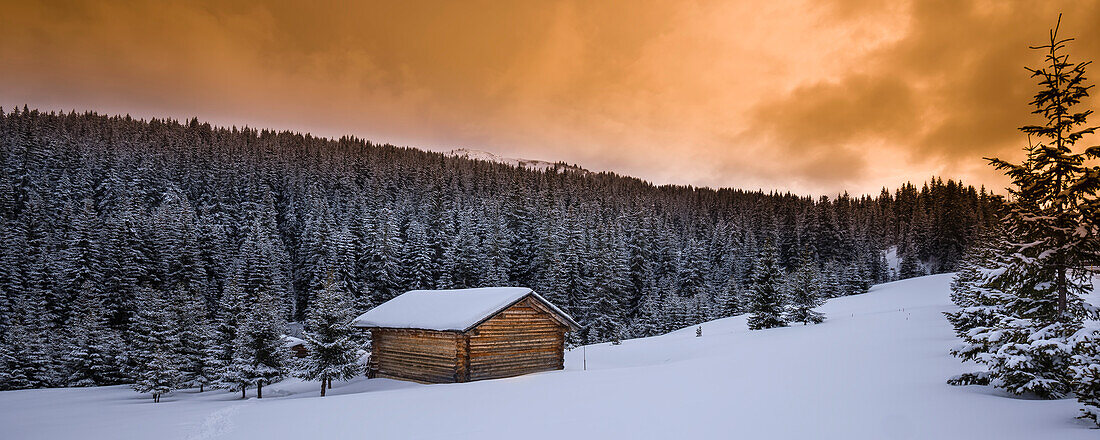 Farm hut and forest in winter, Dolomite Mountains; Alta Badia, South Tyrol, Italy