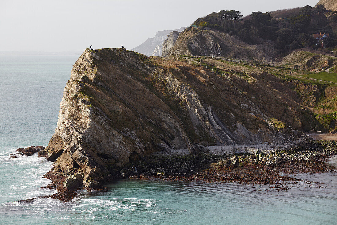 Spaziergänger am Strand und auf den Klippenwegen in Lulworth Cove mit Blick auf den Atlantik am Weltkulturerbe Jurassic Coast; Dorset, England, Großbritannien