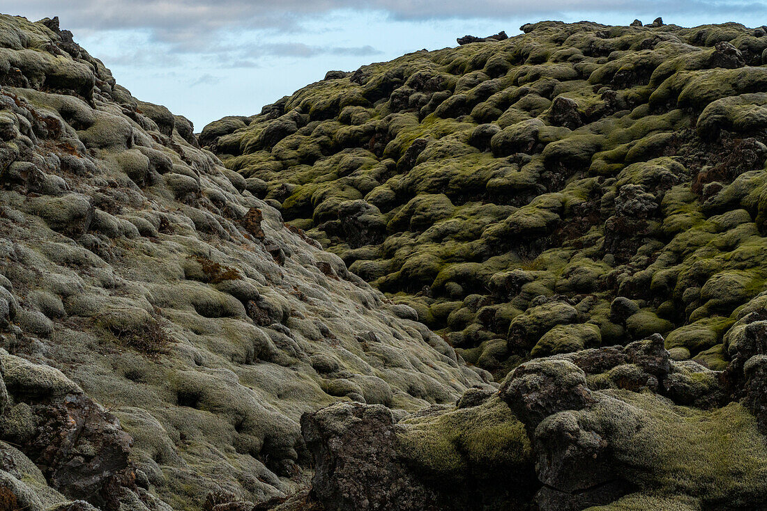 Geheimnisvolle und kunstvolle Muster eines moosbewachsenen Lavafeldes in Island; Südisland, Island