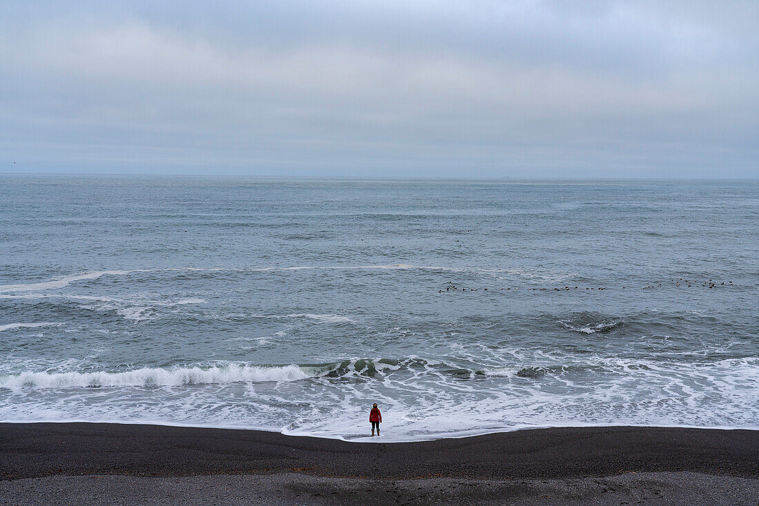 Fernsicht, von hinten aufgenommen, einer Frau, die am Strand steht und über den offenen Ozean in die Unendlichkeit schaut, während sich die Wellen an der Küste brechen; Ostisland, Island