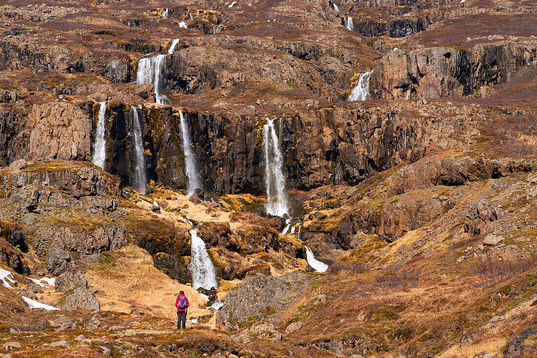 Landschaftlicher Blick auf eine Frau, die vor einer Reihe von Wasserfällen steht, die von den zerklüfteten Klippen der Ostfjorde herabstürzen und sie gegen die weite Landschaft vor ihr klein erscheinen lassen; Ostisland, Island