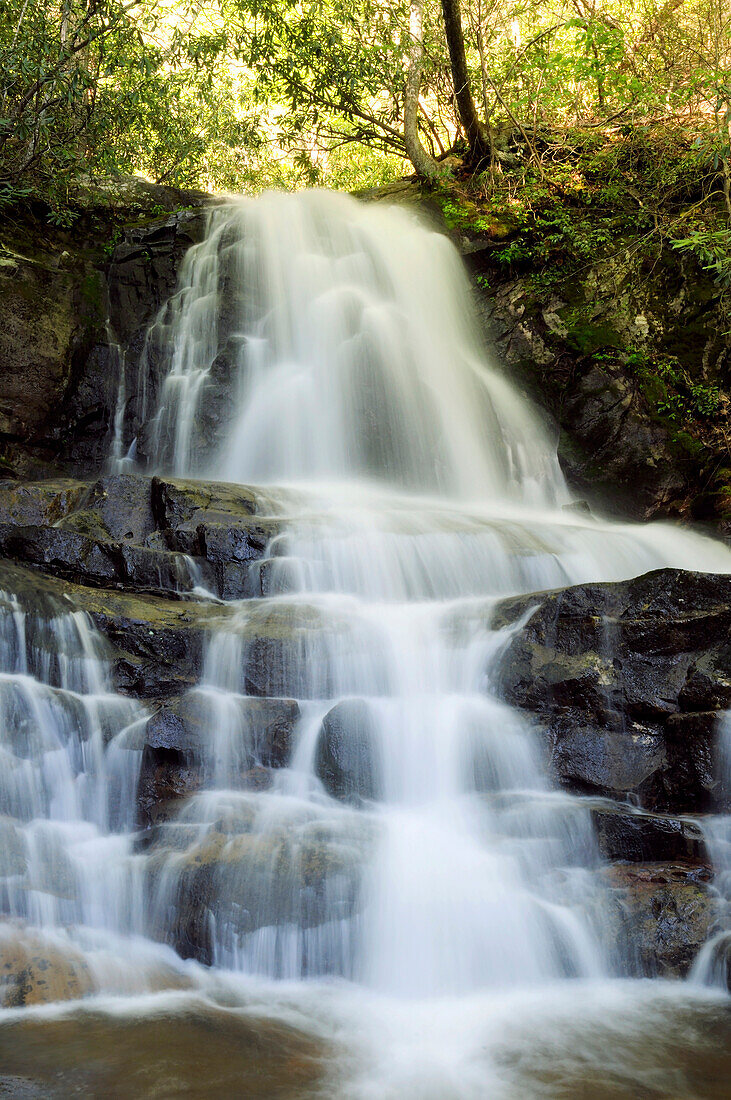 Blick auf die Laurel Falls in den Smoky Mountains; Laurel Falls, Great Smoky Mountains National Park, Tennessee.