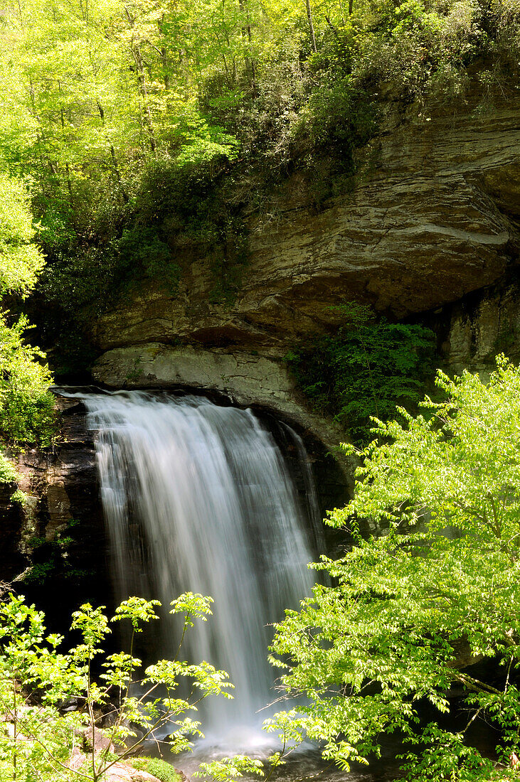 Panoramablick auf die Looking Glass Falls im Frühling; Pisgah National Forest, Transylvania County, North Carolina.