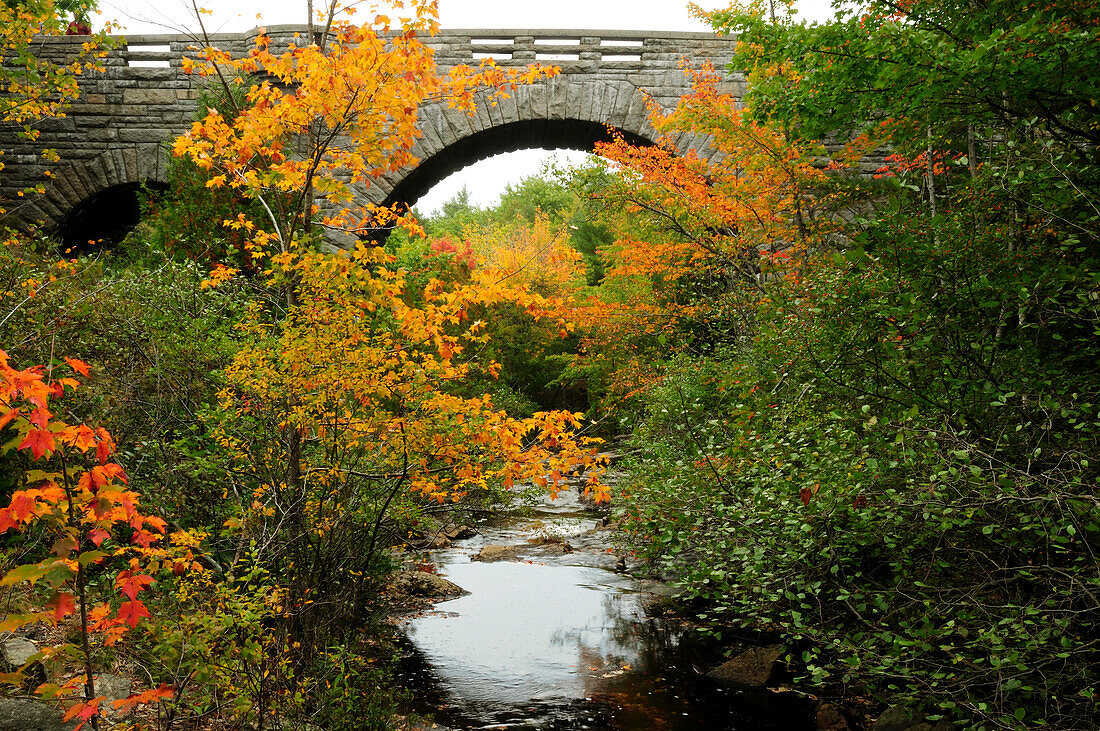 Carriage road bridge at Duck Brook in Acadia National Park.; Acadia National Park, Mount Desert Island, Maine.