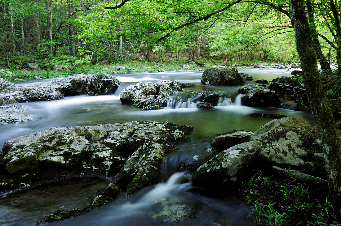 Blick auf den Little River mit Wald und Felsvorsprüngen; Little River, Great Smoky Mountains National Park, Tennessee.