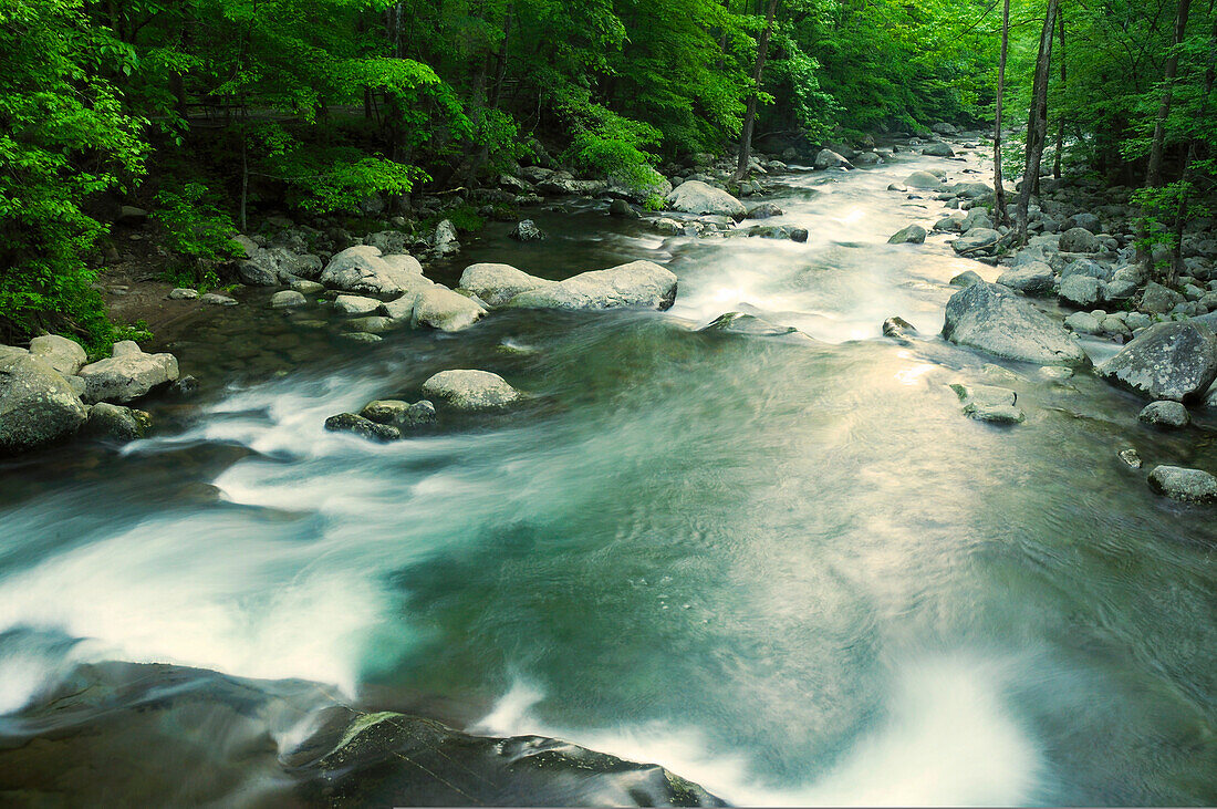 Blick auf den Big Creek mit rauschendem Wasser im Frühling; Big Creek, Great Smoky Mountains National Park, North Carolina.