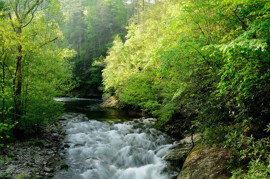 View of Laurel Creek early on a spring morning.; Laurel Creek, Great Smoky Mountains National Park, Tennessee.