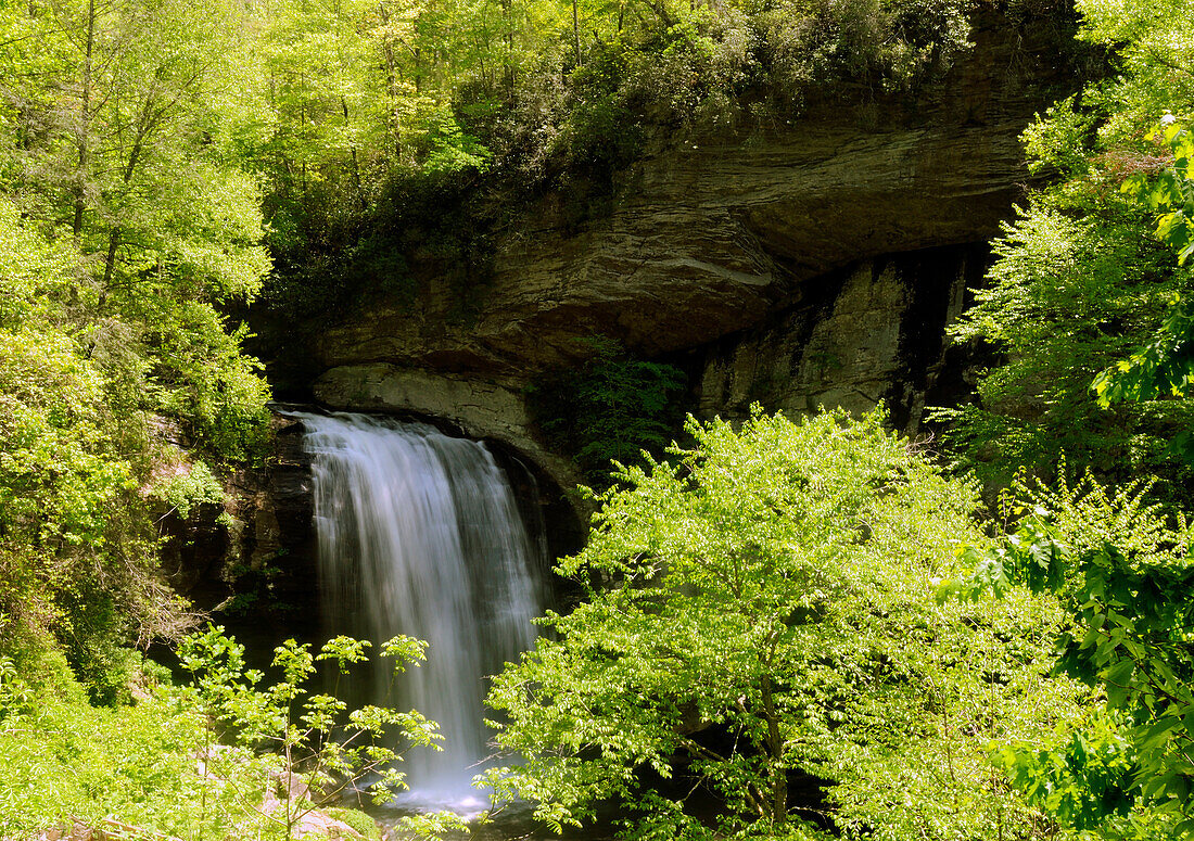 Scenic view of Looking Glass Falls in spring.; Pisgah National Forest, Asheville, North Carolina.