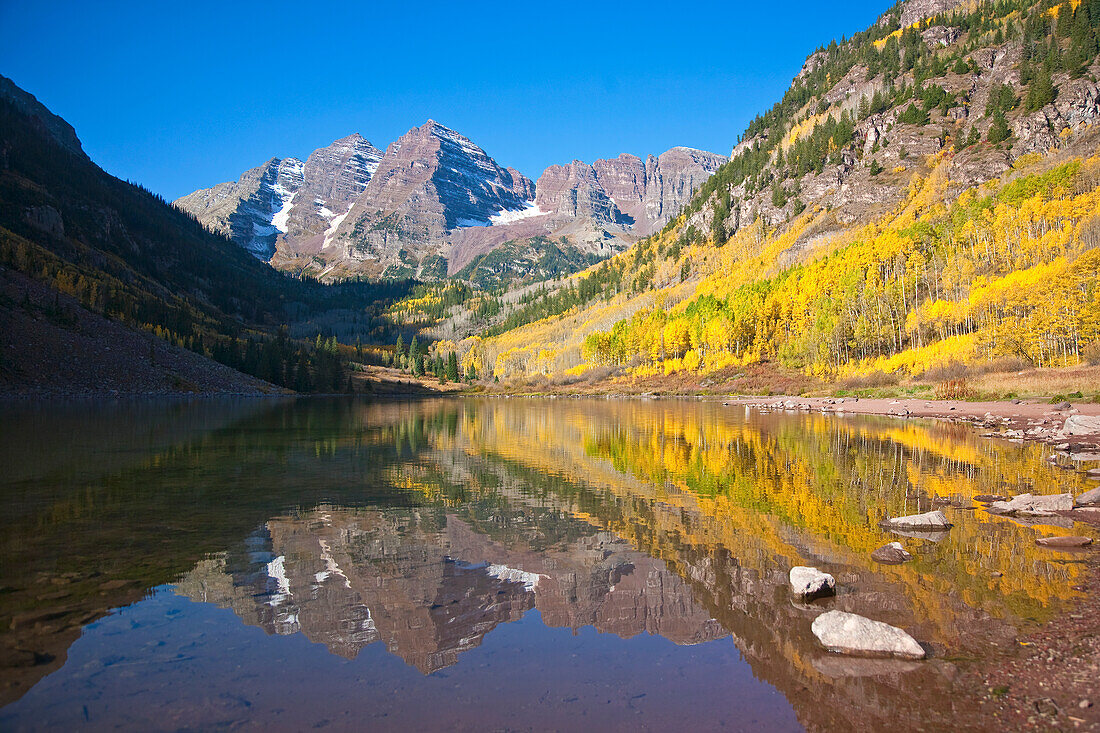 Maroon Bells during fall, with the aspen (Populus tremuloides) leaves changing color reflected in a calm lake; Maroon Creek Valley, Aspen, Colorado, United States of America
