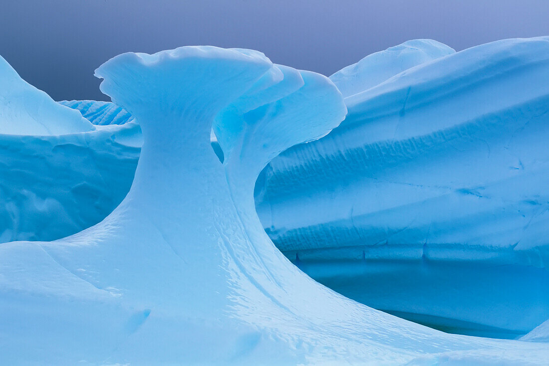 Ein gemeißelter blauer Eisberg vor der Insel Cuverville.