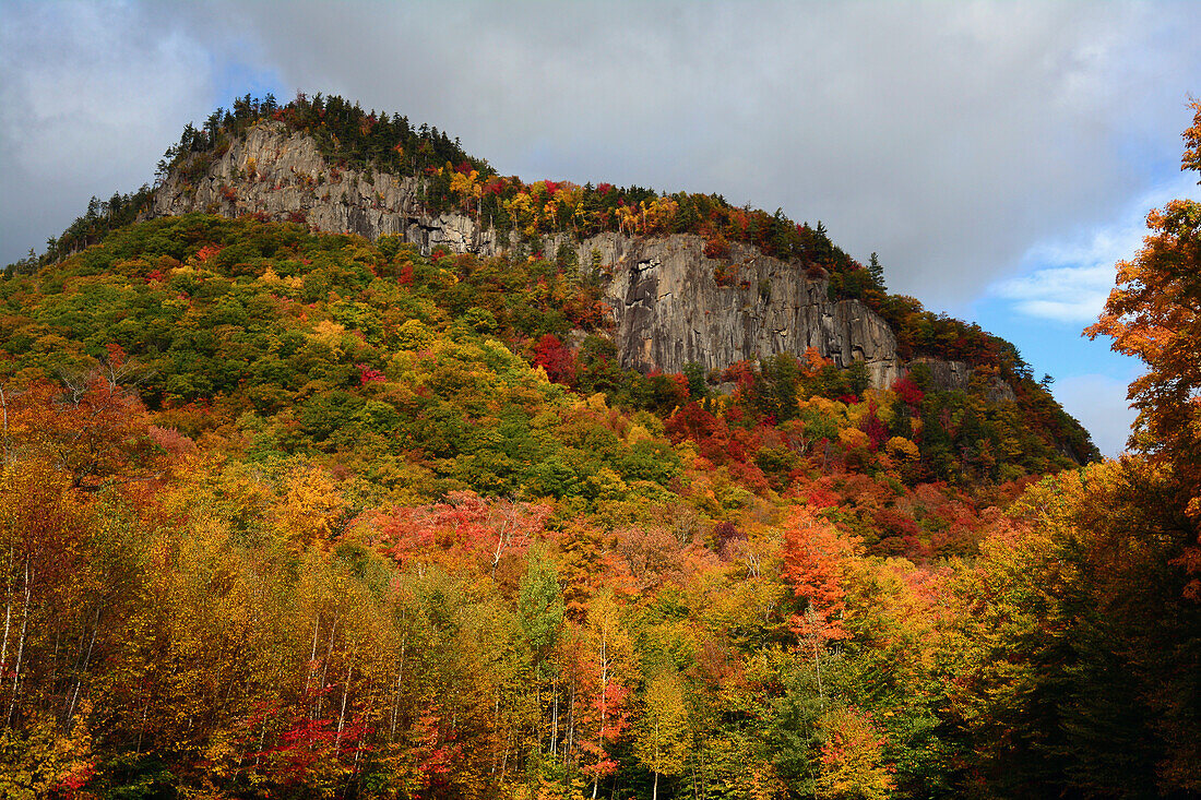 Blick auf Herbstlaub und freiliegende Felsen an einem Berghang in den White Mountains, New Hampshire; Crawford Notch State Park, New Hampshire, USA.