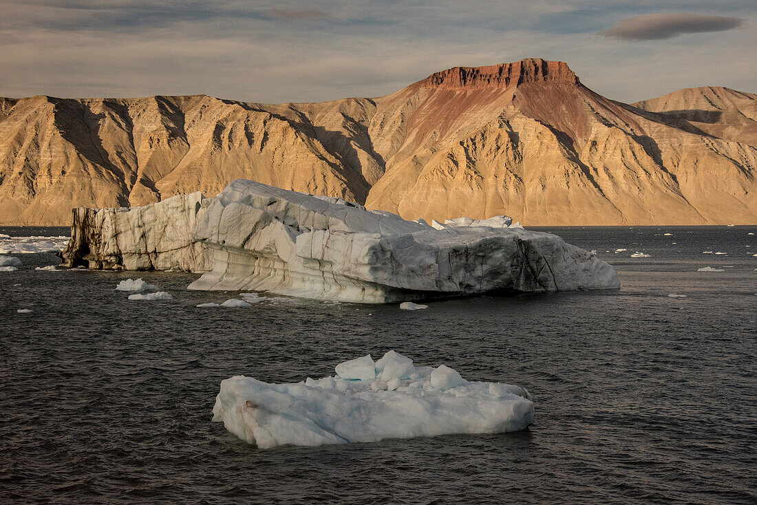 Eisberge und Brummkreisel treiben im eisigen, grauen Wasser des grönländischen Kaiser-Franz-Joseph-Fjords mit schlickbedeckten Bergklippen im Hintergrund; Ostgrönland, Grönland