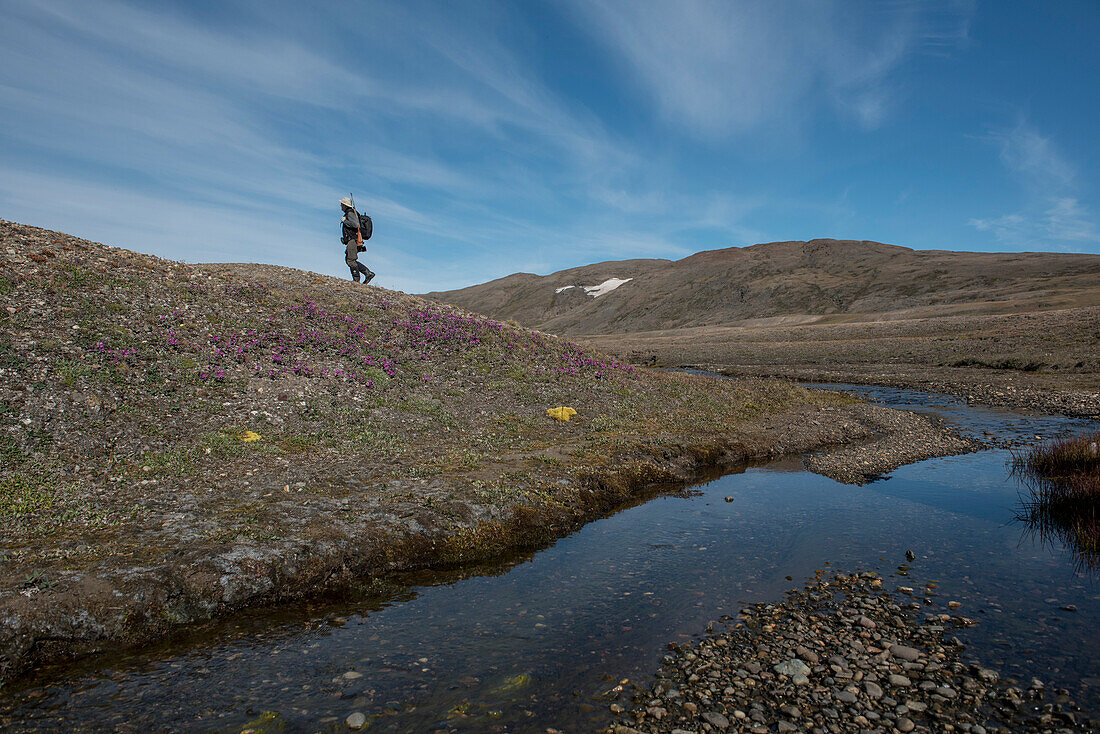 Wanderer beim Trekking entlang der hügeligen Tundra in der Nähe eines Baches in Grönlands Myggbukta Region; Ostgrönland, Grönland