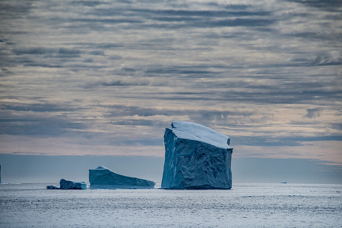 Massive icebergs floating in Greenland's Antarctic Straits area with a dramatic cloudy sky; East Greenland, Greenland