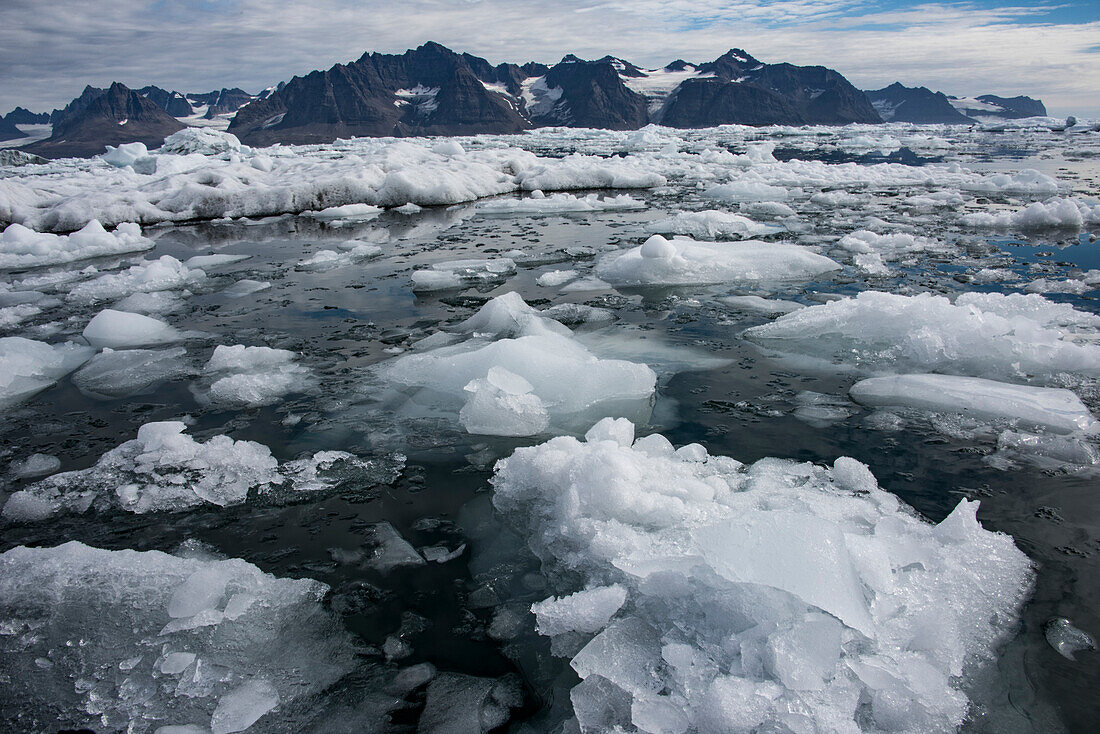 Jagged mountain peaks surround the icy, growlers covering the waters in Nansen Fjord; East Greenland, Greenland