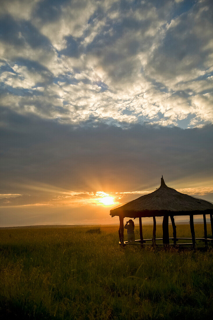 Auf der Suche nach Wildtieren bei Sonnenuntergang im Masai Mara National Reserve, Kenia; Kenia