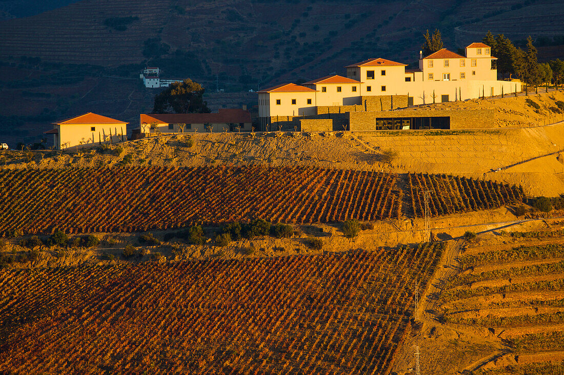 Dorf über terrassierten Feldern bei Chanceleiros im Douro Flusstal in Portugal; Douro Flusstal, Portugal