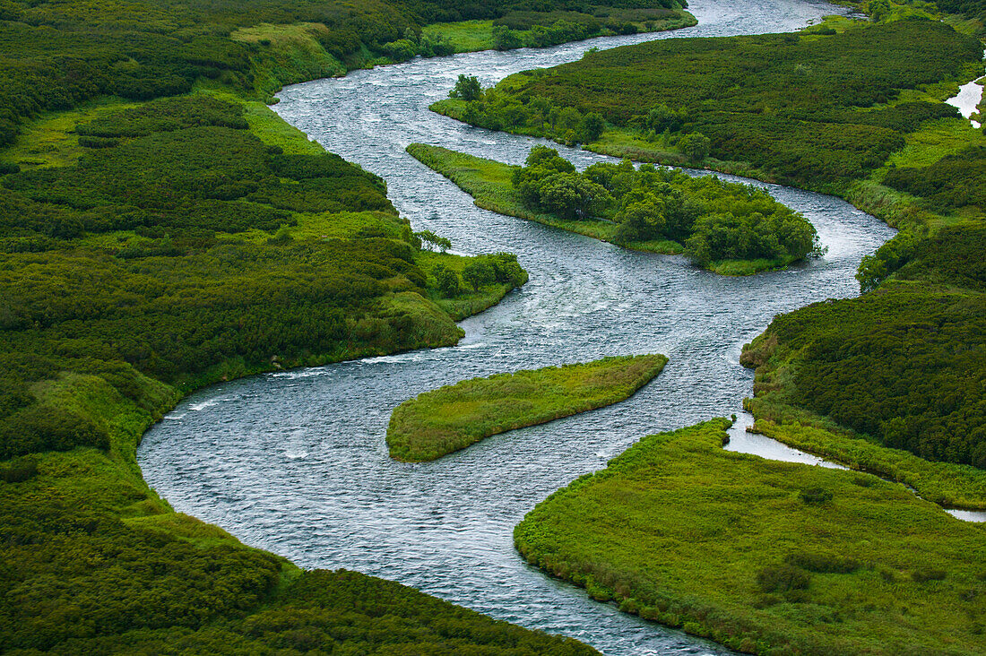 Salmon spawn in Kronotsky Nature Reserve's clear running rivers; Kronotsky Zapovednik, Kamchatka, Russia