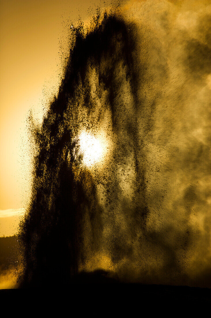 Backlit view of Old Faithful erupting, Upper Geyser Basin, Yellowstone National Park, Wyoming, USA; Wyoming, United States of America