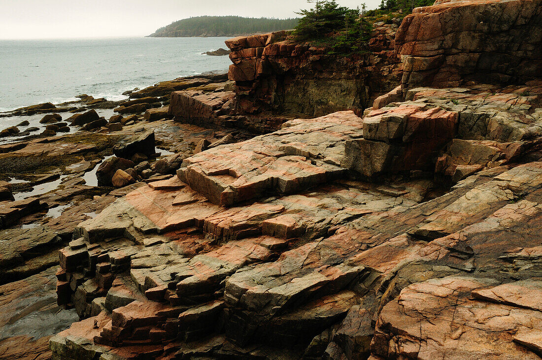 Felsige Küstenlinie im Acadia National Park; Acadia National Park, Mount Desert Island, Maine.