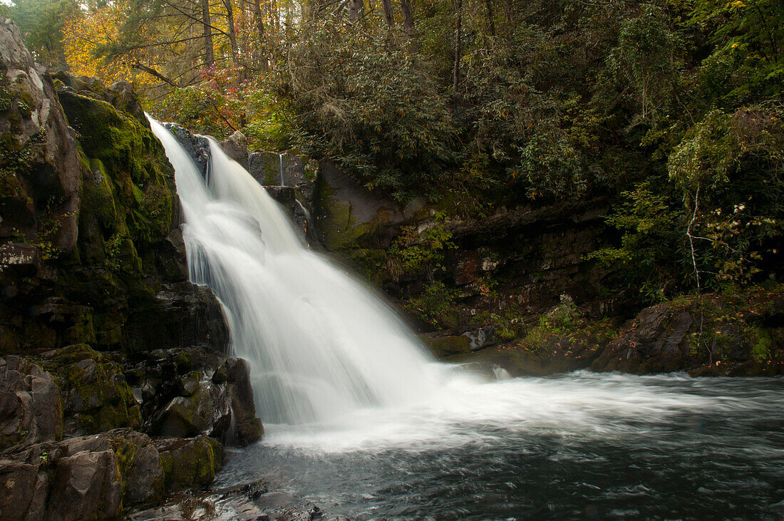 Ein malerischer Blick auf die Abrams Falls, moosbewachsene Felsbrocken und den Wald im Herbst; Abrams Falls, Great Smoky Mountains National Park, Tennessee.