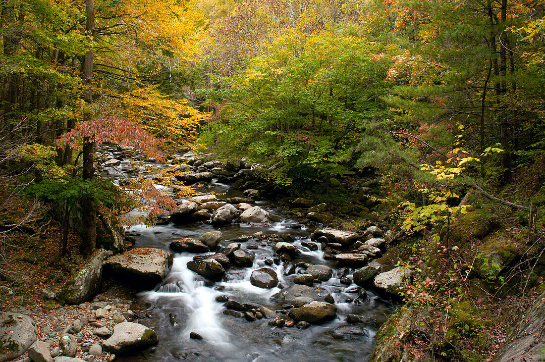 A high angle view of the Little River rushing through a forest in autumn hues.; Little River, Great Smoky Mountains National Park, Tennessee.