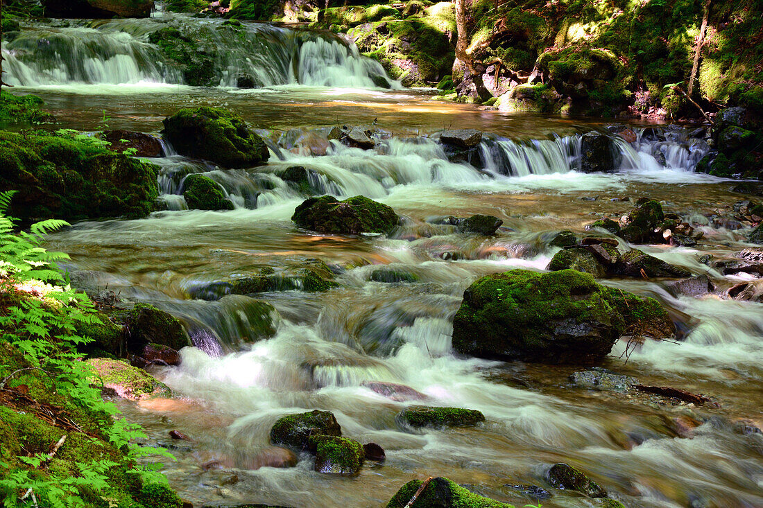 Kaskadenförmiges Wasser bei den Dickson Falls im Fundy National Park; Dickson Falls, Fundy National Park, New Brunswick, Kanada.