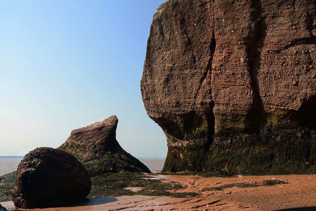 Von der Gezeitenerosion geformte Felsen in der Bay of Fundy; Hopewell Rocks Ocean Tidal Exploration Site, Hopewell Cape, New Brunswick, Kanada.