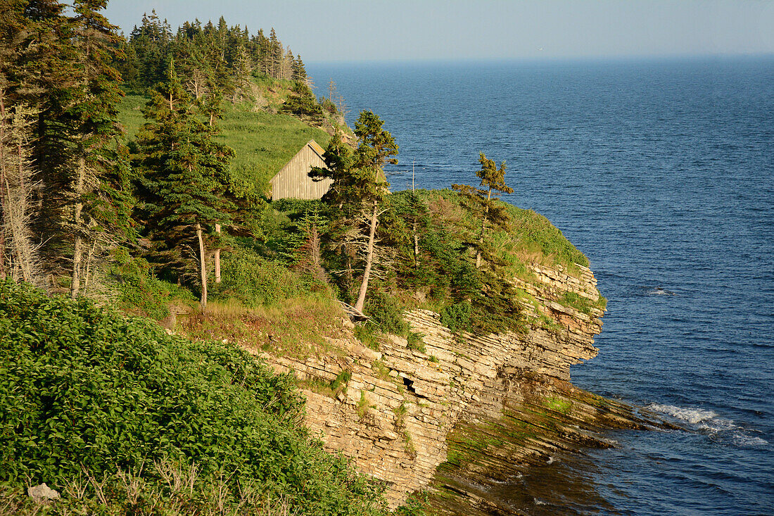 Blick auf die Küste des Forillon National Park und den Sankt-Lorenz-Golf; Cap-Aux-Os, Forillon National Park, Gaspe Halbinsel, Quebec, Kanada.