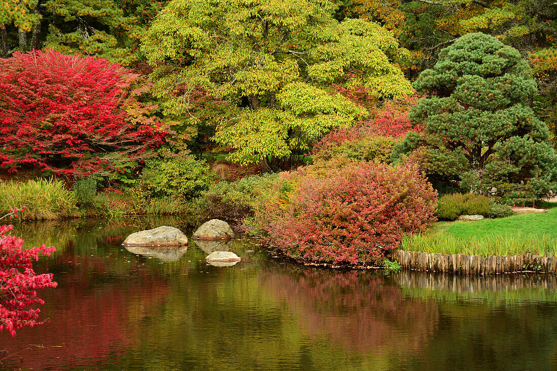 Landschaftlicher Blick auf einen japanischen Garten mit Teich im Herbst; Northeast Harbor, Asticou Azalea Gardens, Maine.