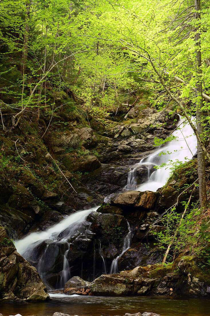 MacIntosh Brook waterfalls in Cape Breton Highlands National Park.; MacIntosh Brook, Cape Breton Highlands National Park, Nova Scotia, Canada.